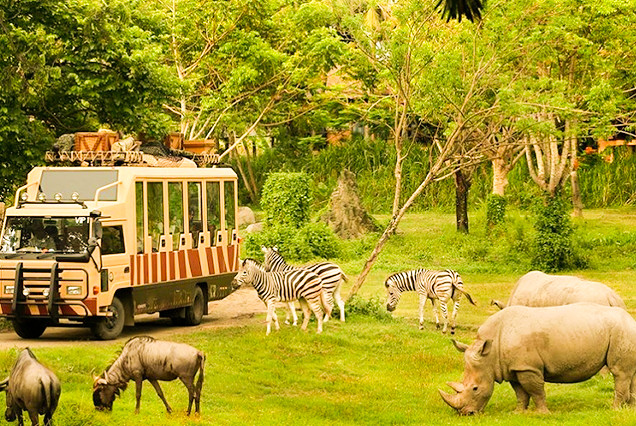 Safari Park